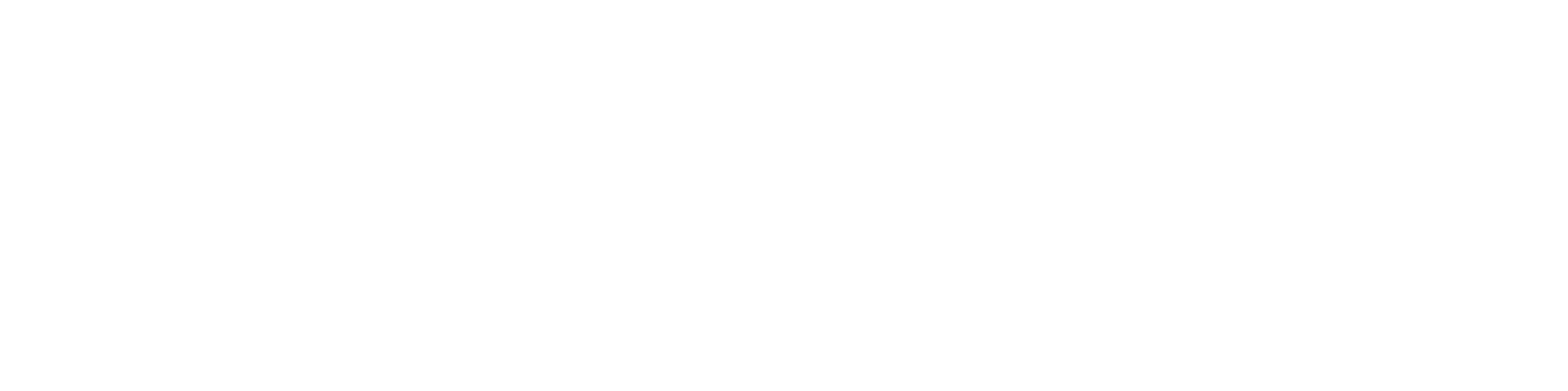 Drish Infotech